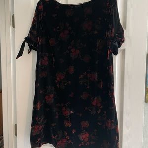 Loft Velvet Dress
